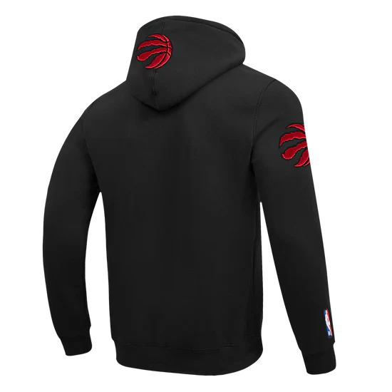 Men's Pro Standard Toronto Raptors Hoodie