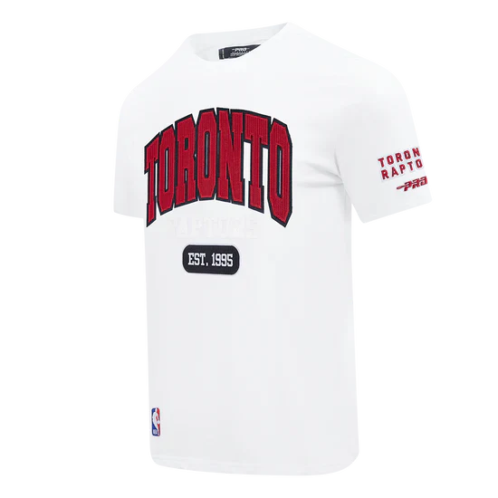 Men's Pro Standard Toronto Raptors City Arch Tee
