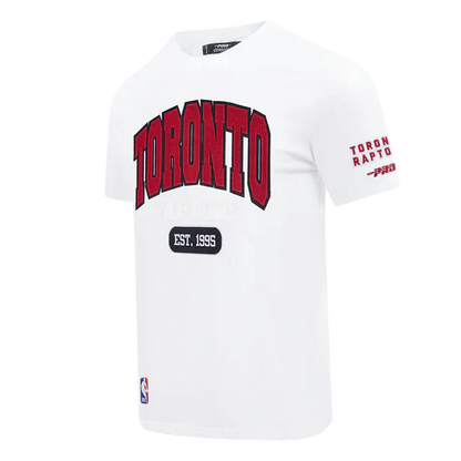 Men's Pro Standard Toronto Raptors City Arch Tee