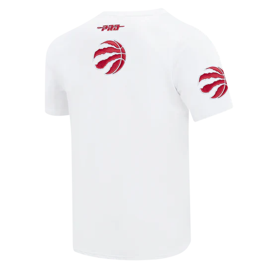 Men's Pro Standard Toronto Raptors City Arch Tee