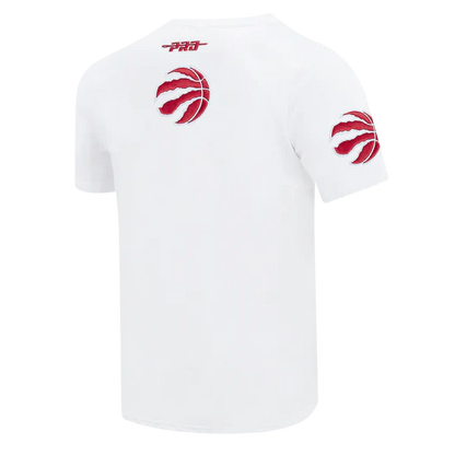 Men's Pro Standard Toronto Raptors City Arch Tee
