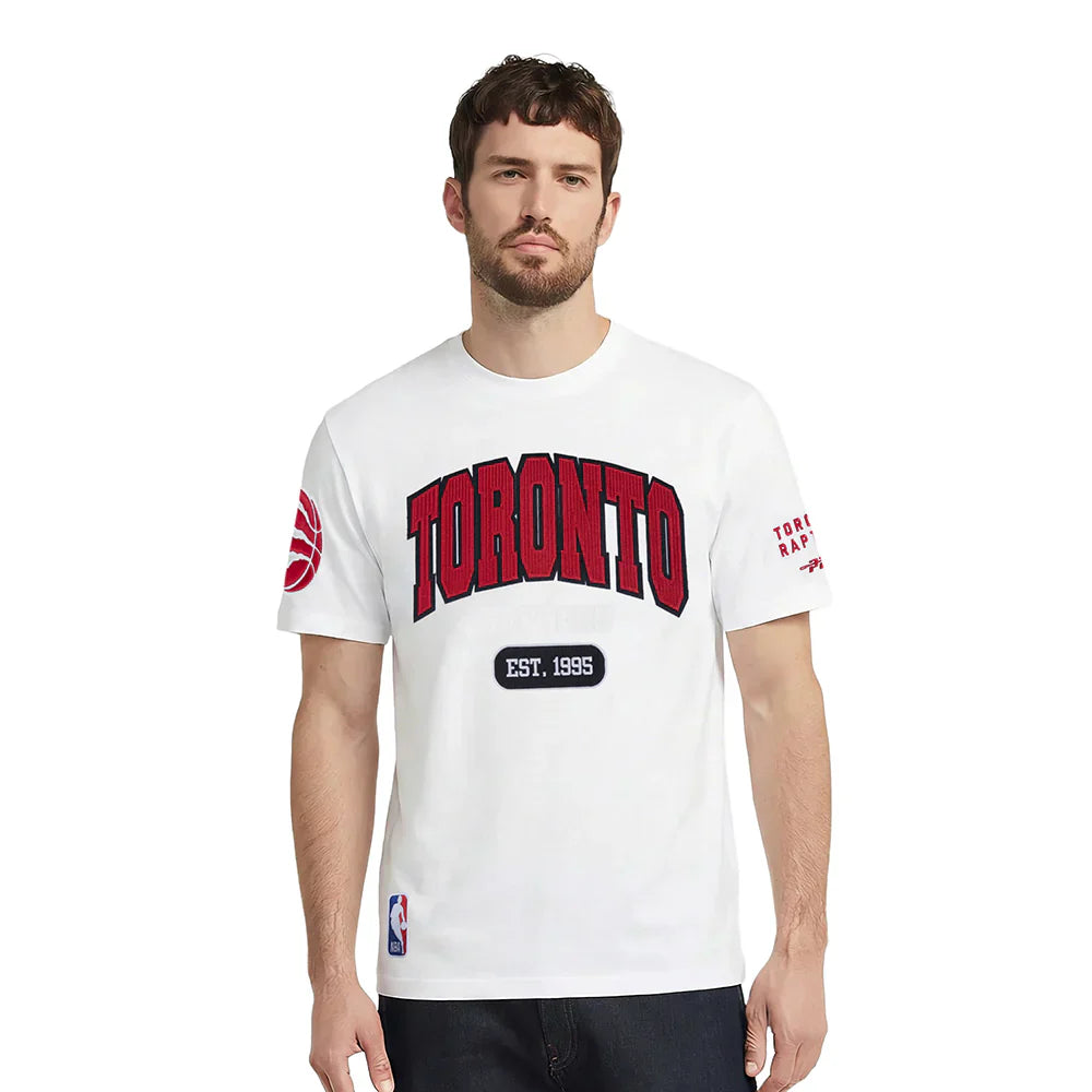 Men's Pro Standard Toronto Raptors City Arch Tee