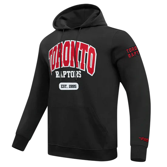 Men's Pro Standard Toronto Raptors Hoodie