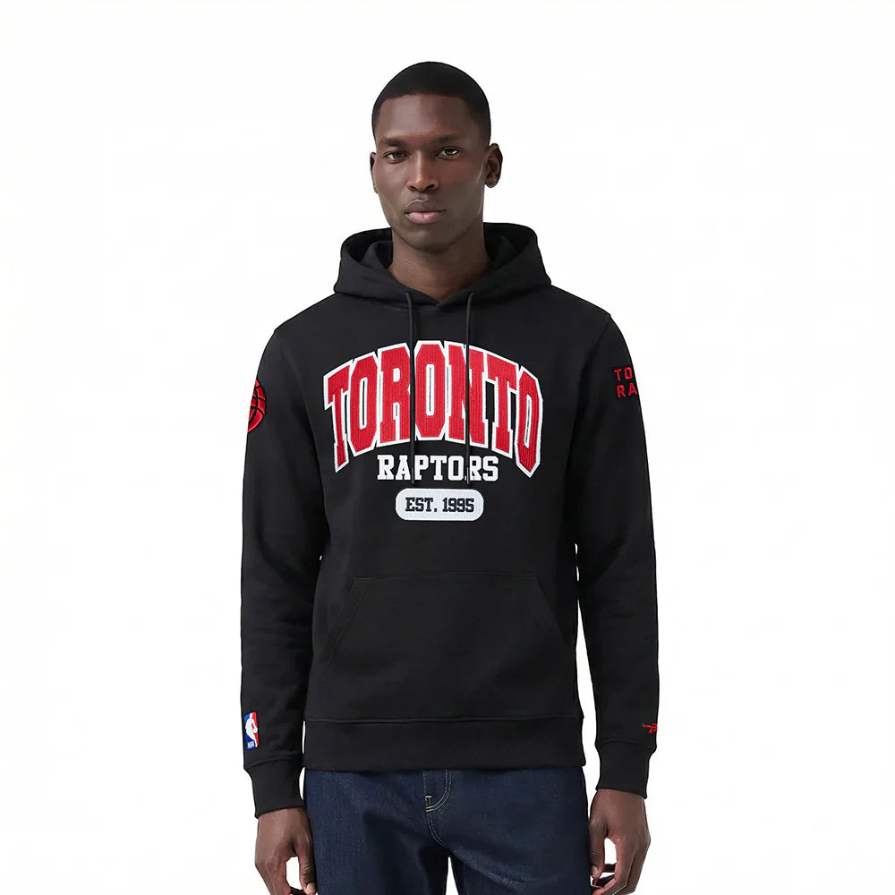 Men's Pro Standard Toronto Raptors Hoodie