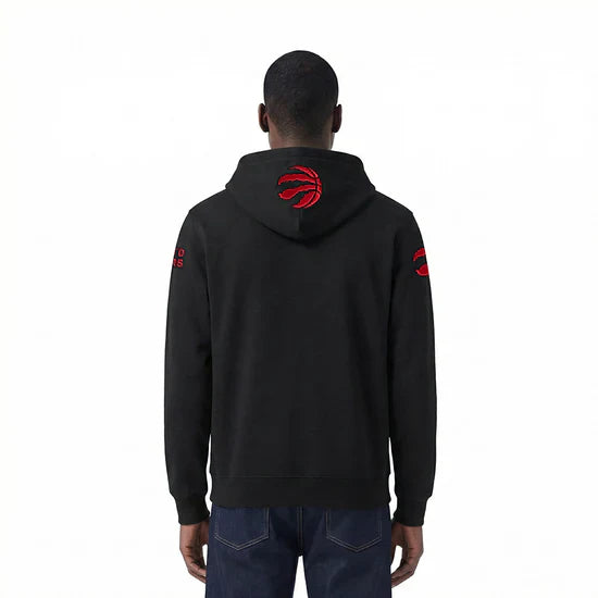 Men's Pro Standard Toronto Raptors Hoodie