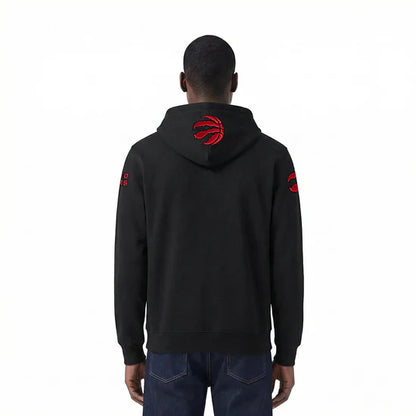 Men's Pro Standard Toronto Raptors Hoodie