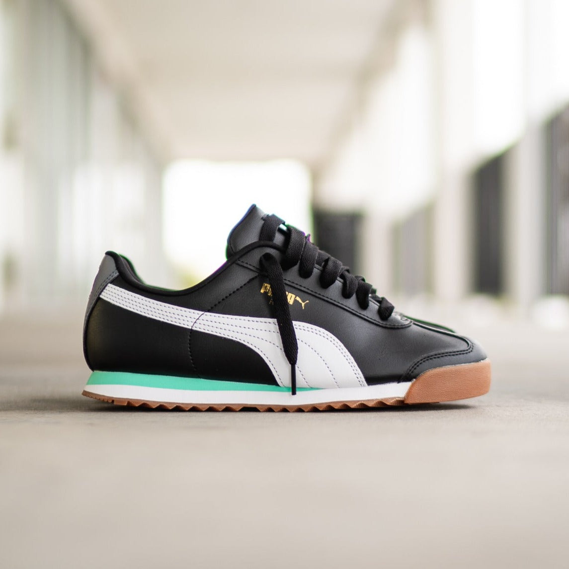 Men's Puma Roma Basic (Black/White/Mint)