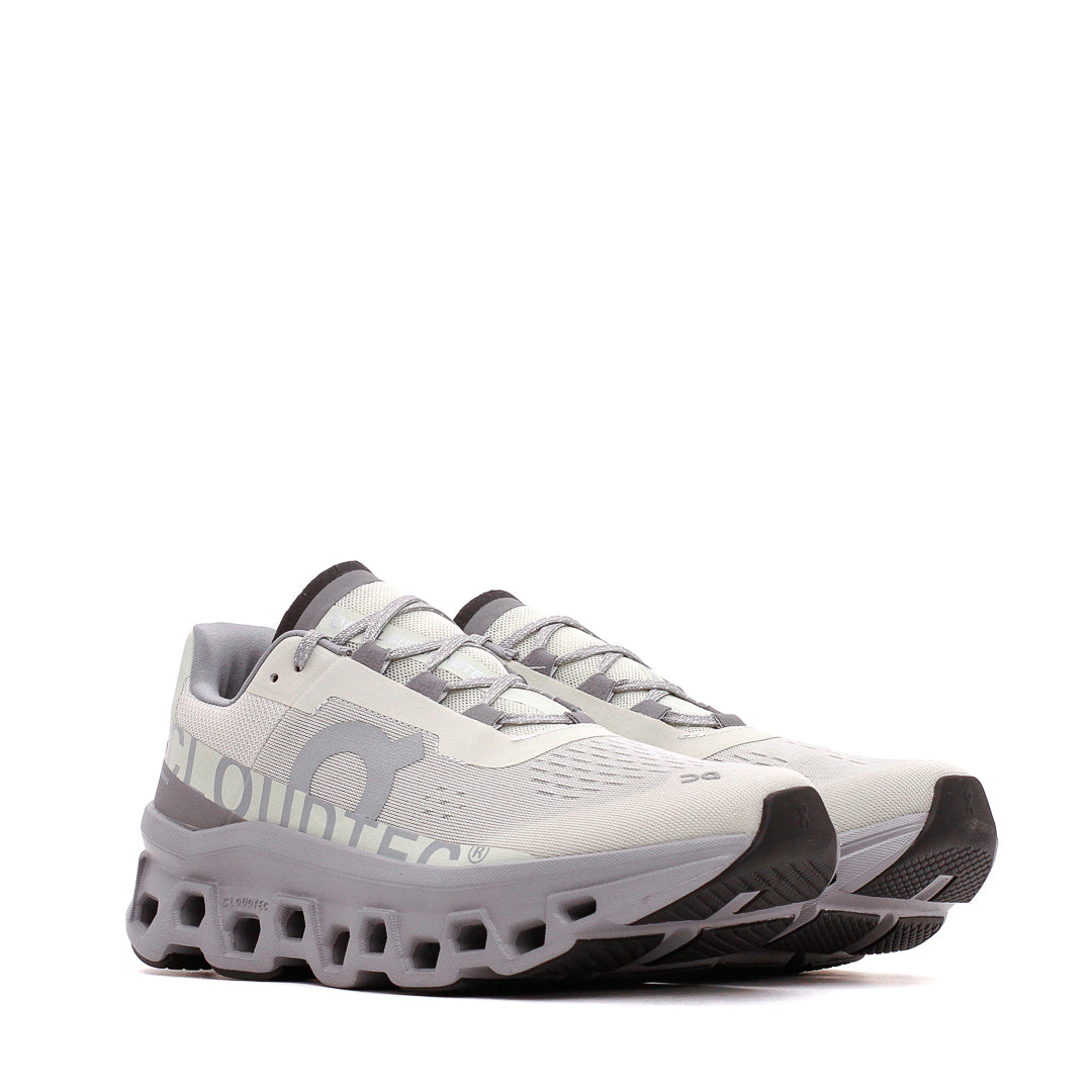 ON Men Cloudmonster Ice Alloy 61.97788