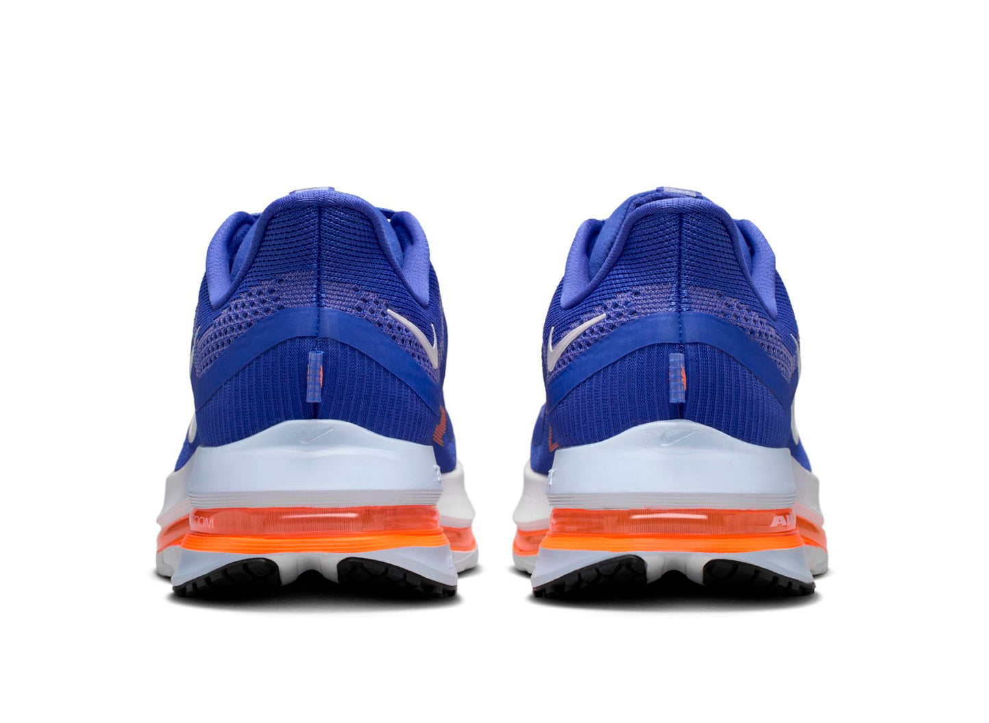 Nike Pegasus Premium in Lapis / White