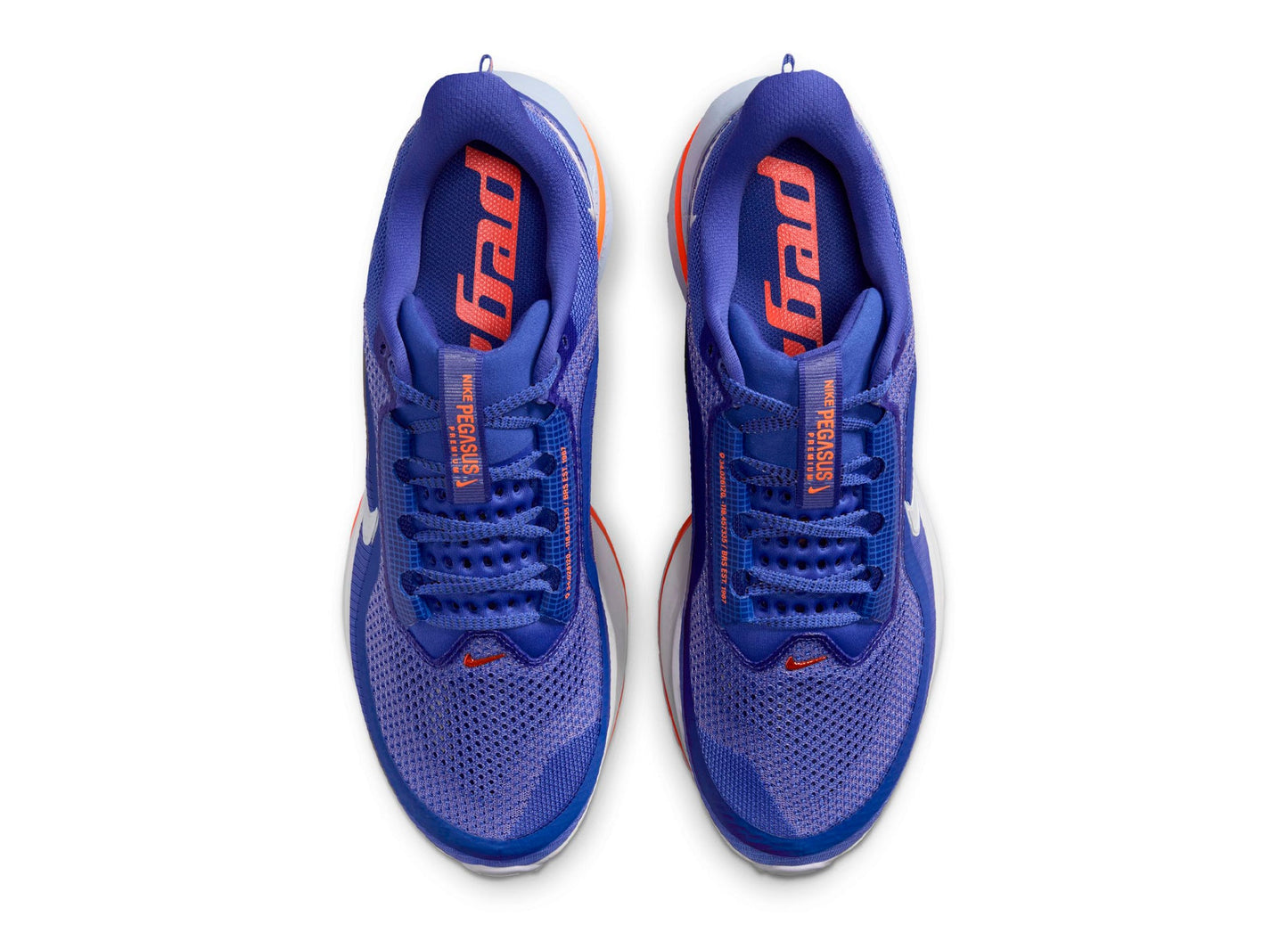 Nike Pegasus Premium in Lapis / White
