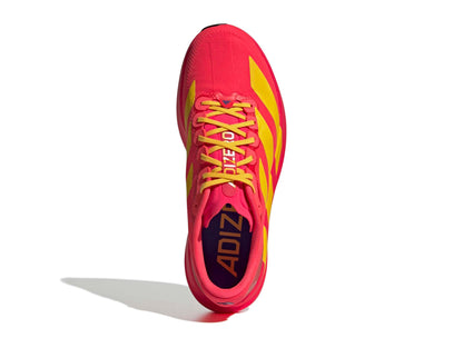 Adidas Adizero EVO SL Woven in Lucid Red / Bold Gold