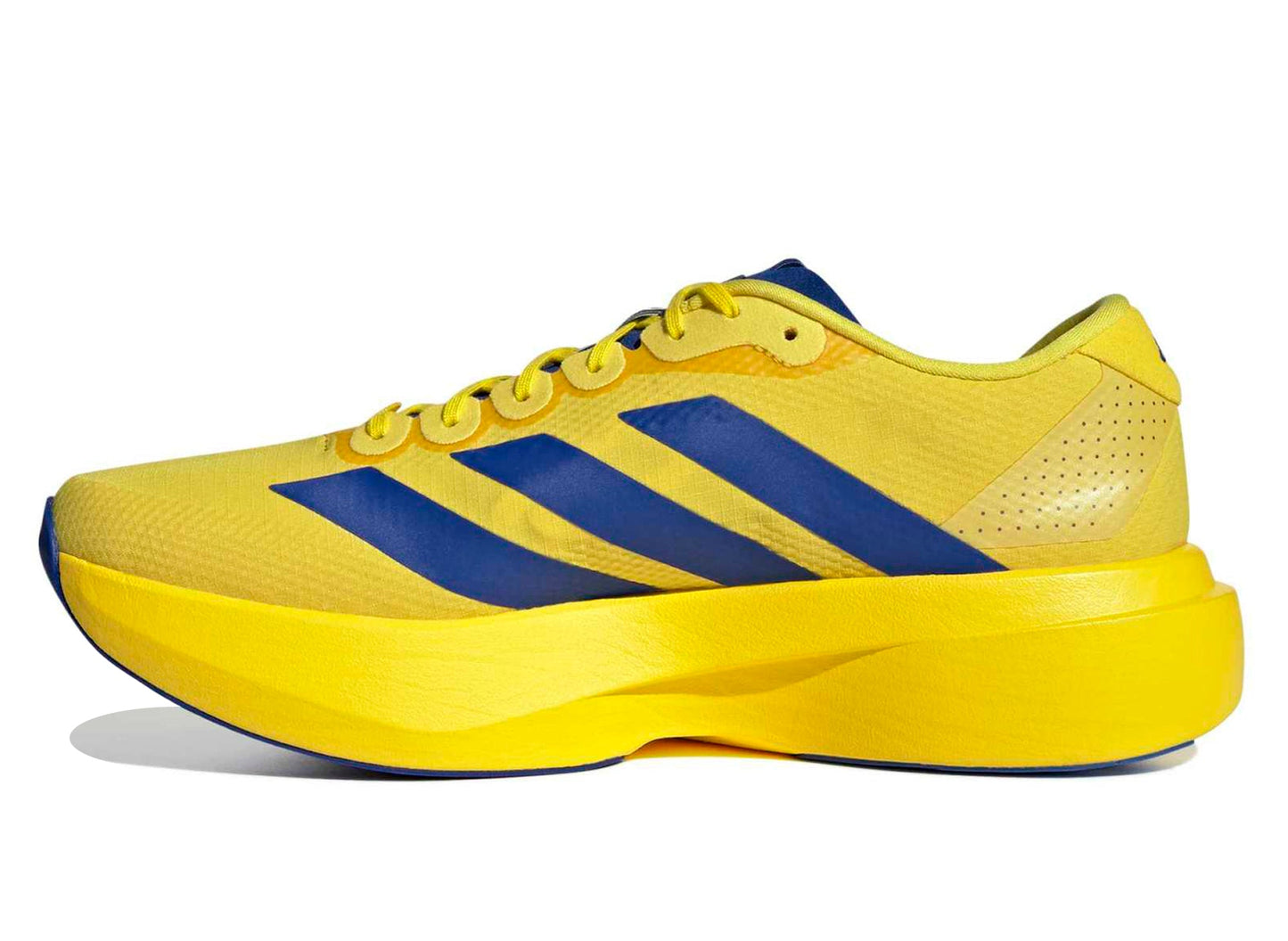 Adidas Adizero EVO SL Woven in Yellow / Team Royal Blue