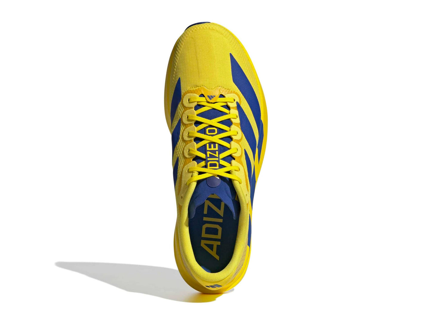 Adidas Adizero EVO SL Woven in Yellow / Team Royal Blue