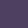 Etnies Sal 23 Shoes - Purple